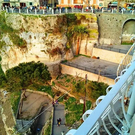 Zia Clara تروبيا